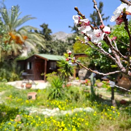 Levantes Garden House - Keratokampos Exterior foto